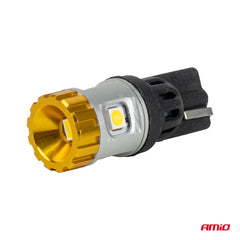 Żarówka LED T10 do instalacji 12 V i 24 V