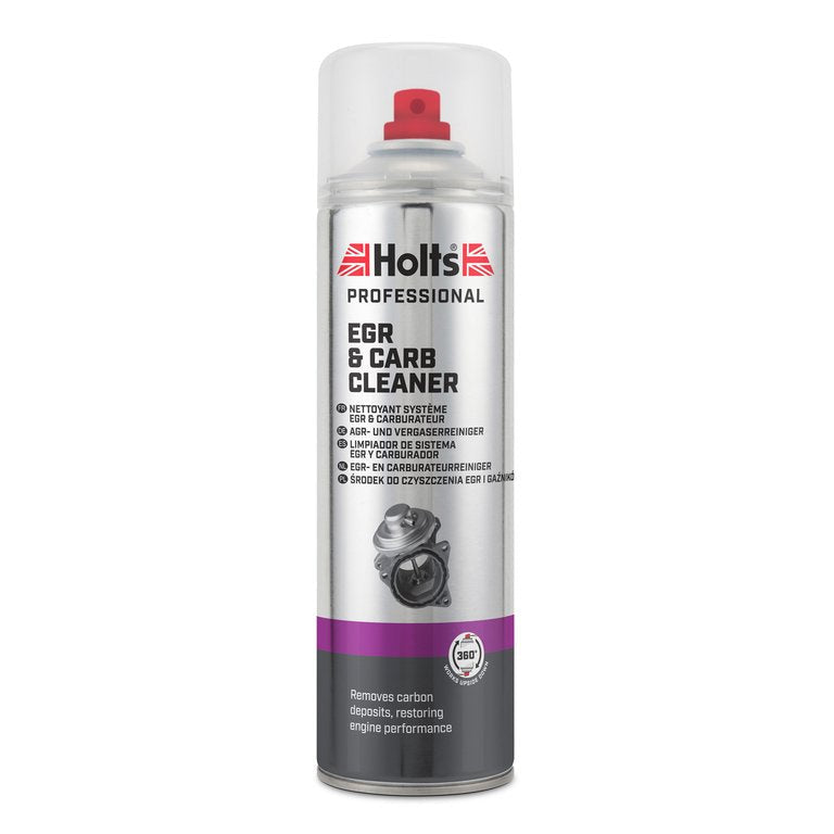 Holts środek do czyszczenia EGR i gaźnika 